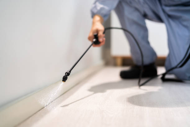 Licensed Pest Control service in Mint Hill, NC - Show Me Pest Control