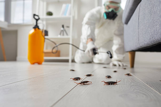 Commercial Kitchen Cockroach Control in Mint Hill